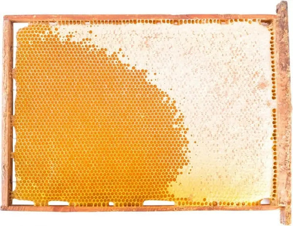 Honey comb for Manuka honey skincare