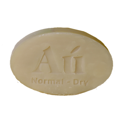 Au Natural Skinfood Natural Shampoo & Conditioning Bar